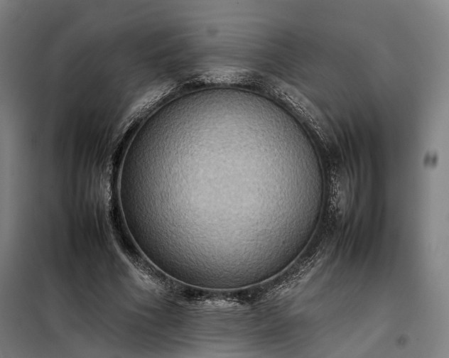 X0000098000586200804021033
