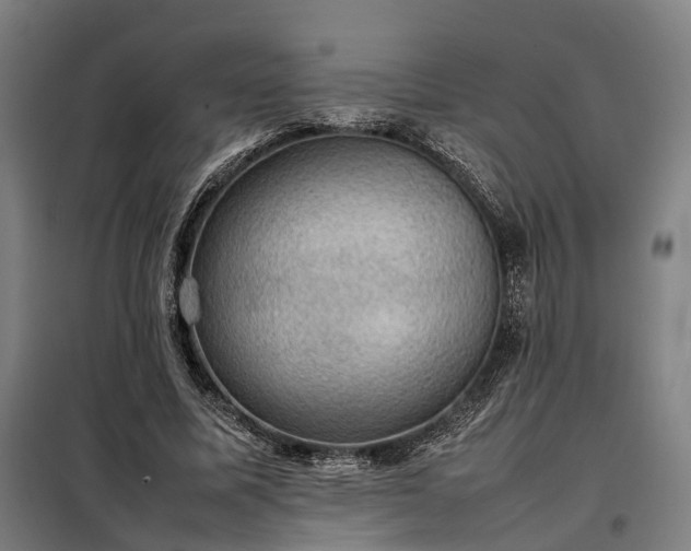 X0000098000587200804021033