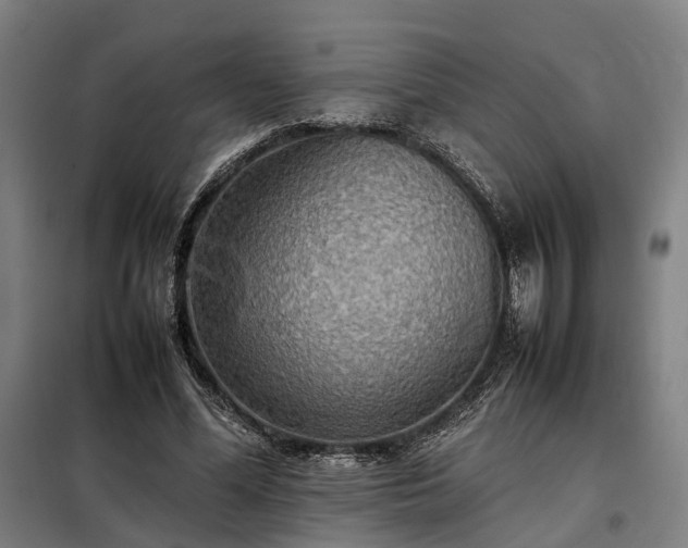 X0000098000588200804021033
