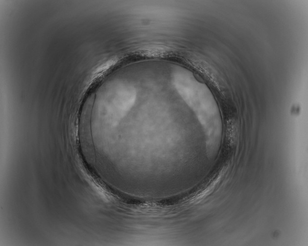 X0000098000589200804021033