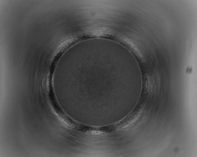 X0000098000590200804021033