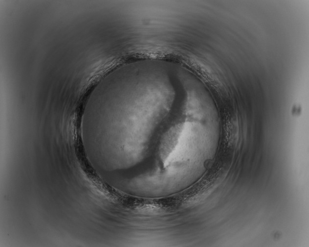 X0000098000594200804021033