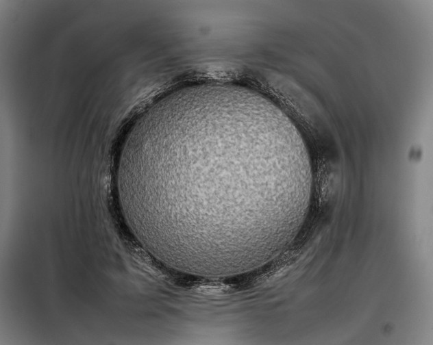 X0000098000595200804021033