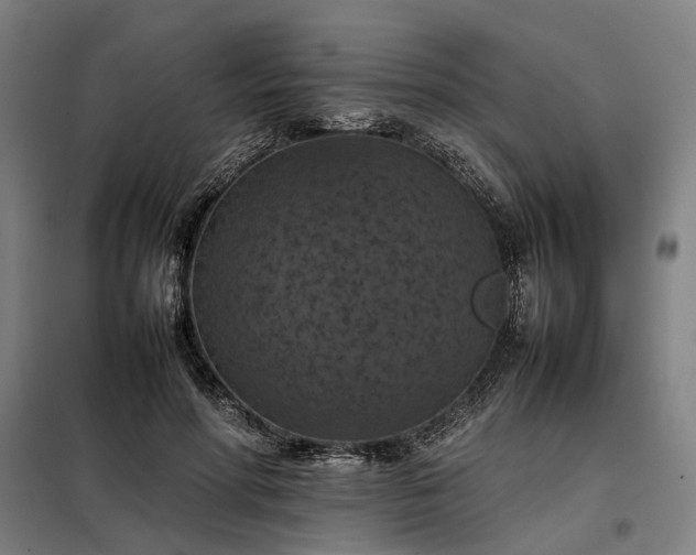 X0000098000598200804021033