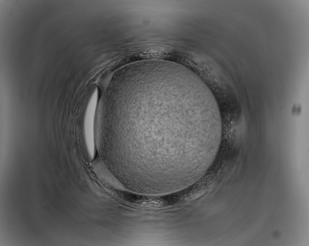 X0000098000599200804021033