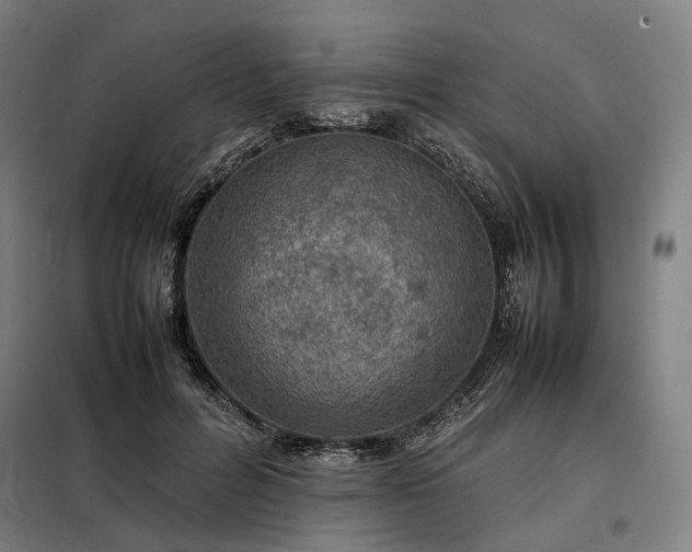 X0000098000600200804021033