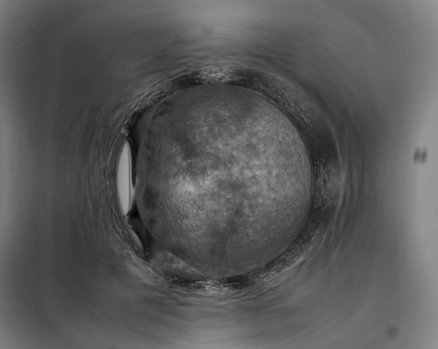 X0000098000601200804021033