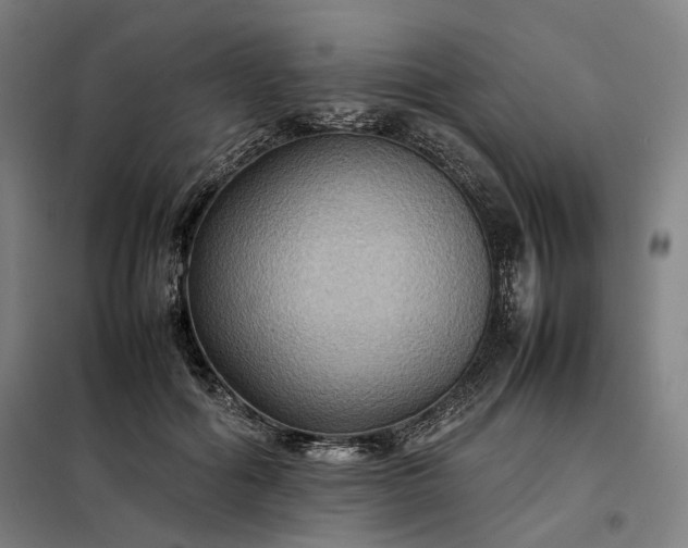 X0000098000602200804021033