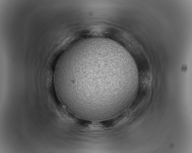 X0000098000603200804021033