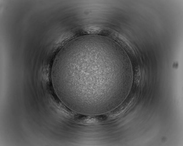 X0000098000604200804021033