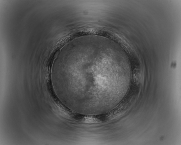 X0000098000605200804021033