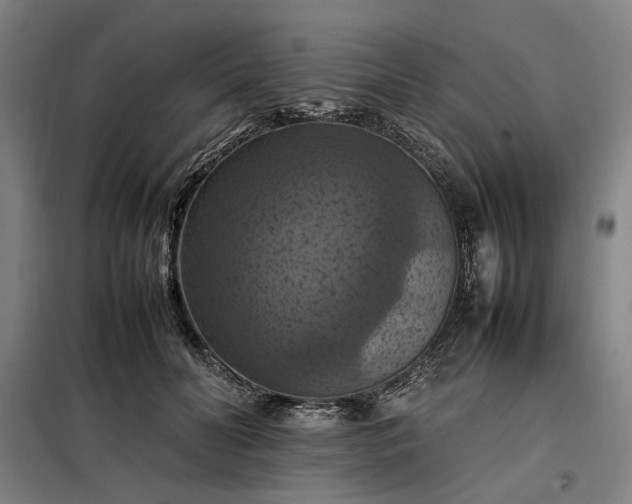 X0000098000606200804021033