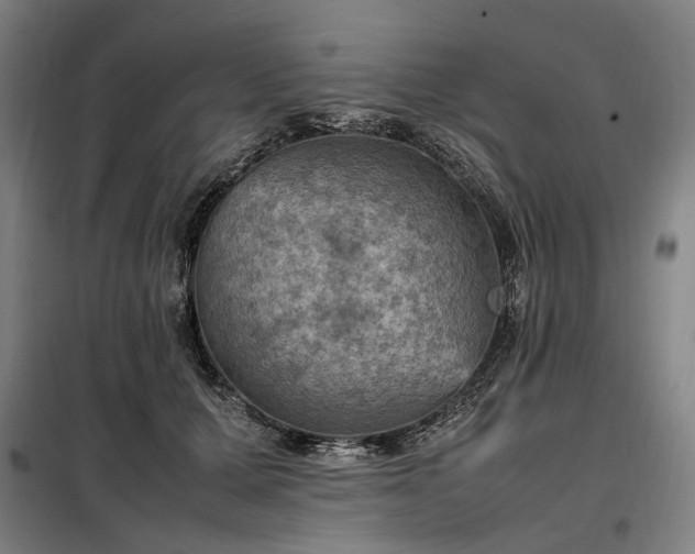 X0000098000607200804021033