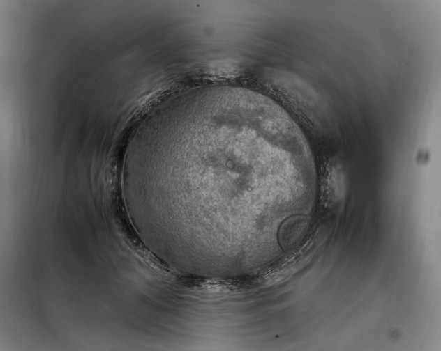 X0000098000608200804021033