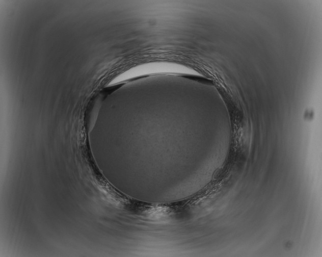 X0000098000609200804021033