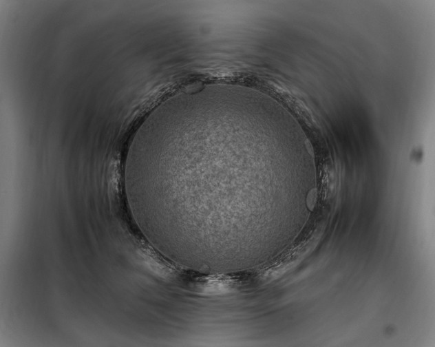 X0000098000612200804021033