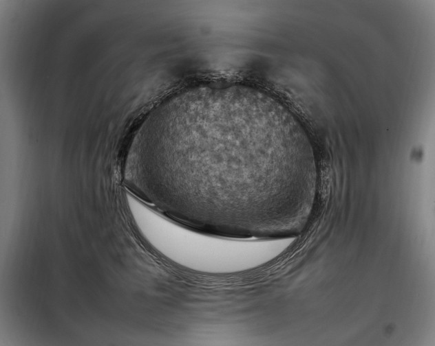 X0000098000613200804021033