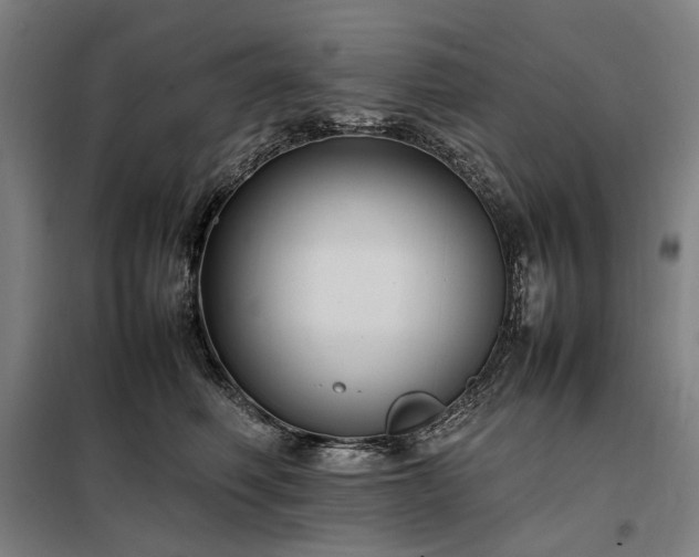 X0000098000614200804021033