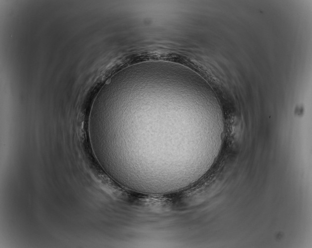X0000098000615200804021033