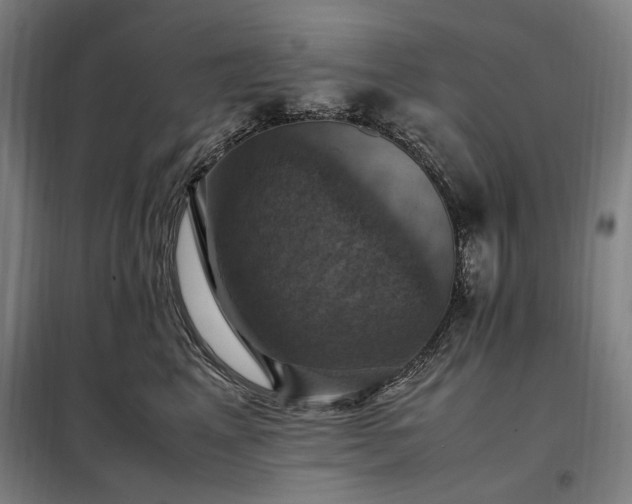 X0000098000617200804021033