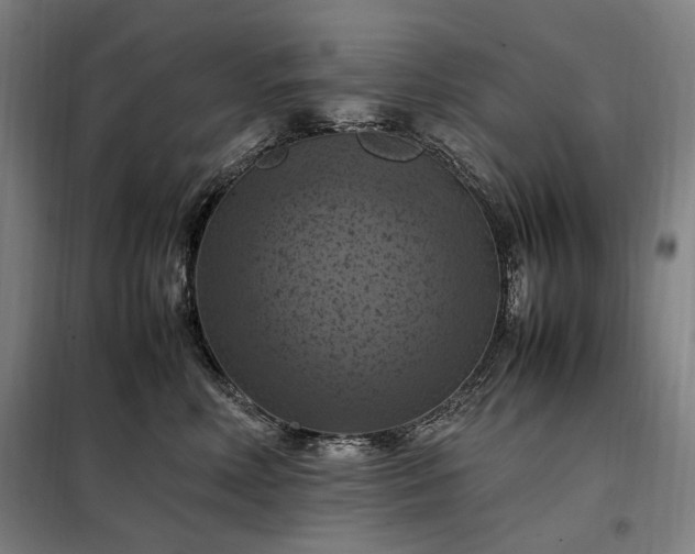 X0000098000618200804021033