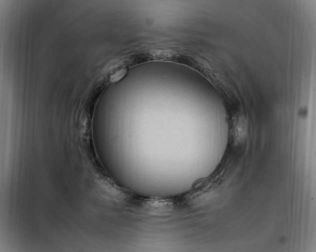 X0000098000619200804021033