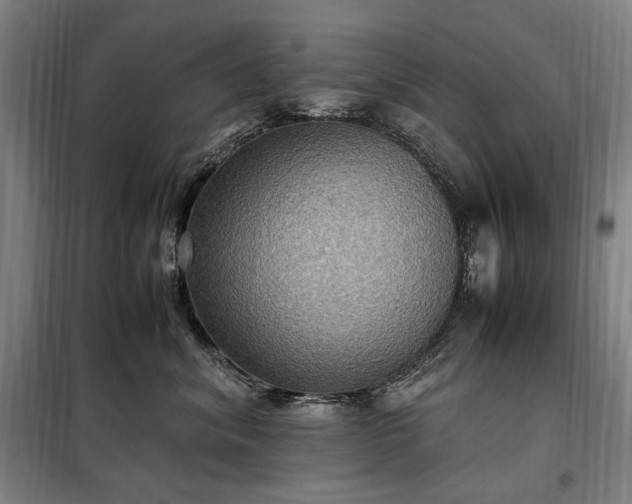 X0000098000620200804021033
