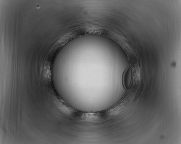 X0000098000622200804021033