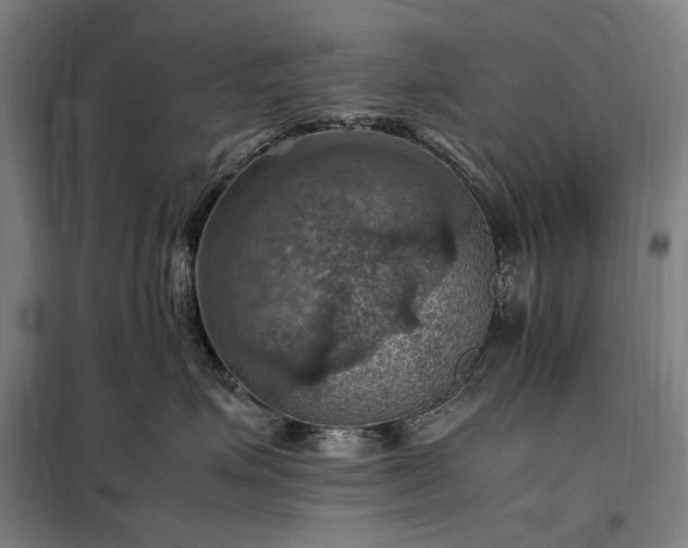 X0000098000623200804021033
