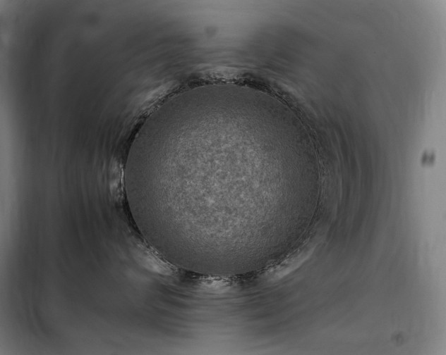 X0000098000624200804021033