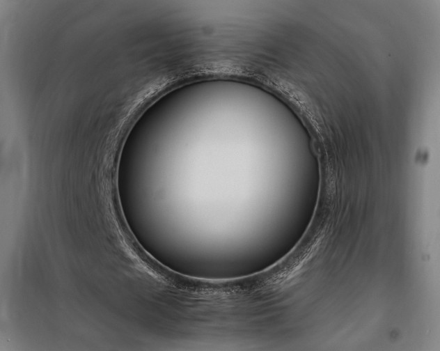 X0000098000625200804021032