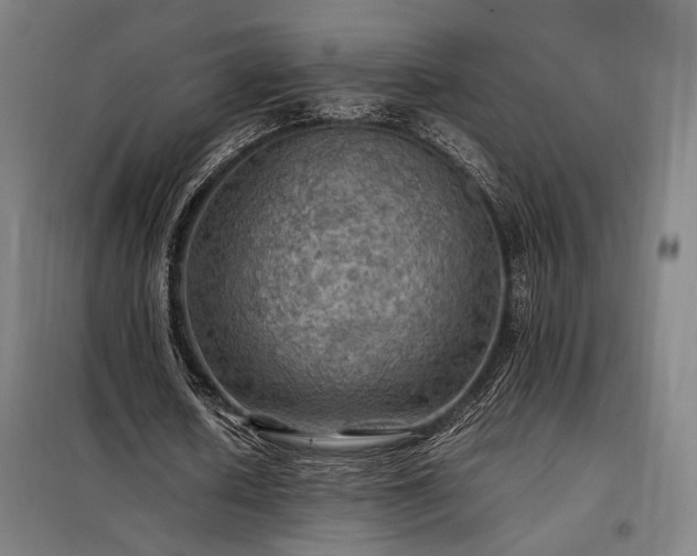 X0000098000626200804021032