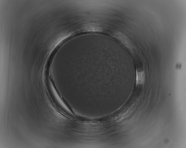 X0000098000627200804021032