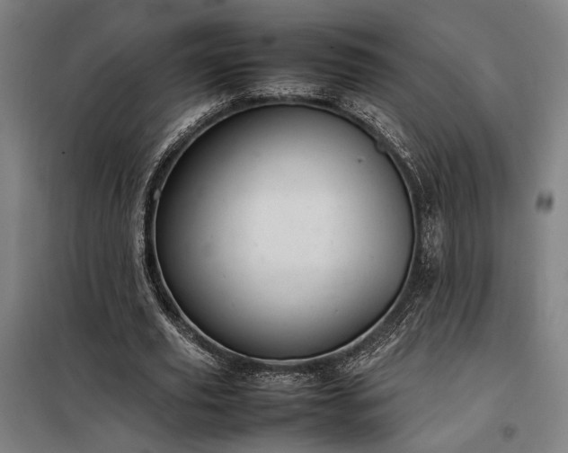 X0000098000629200804021032