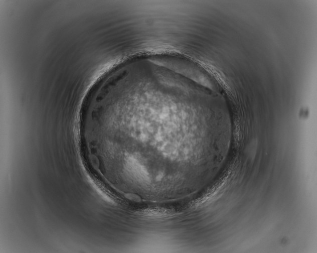 X0000098000630200804021032