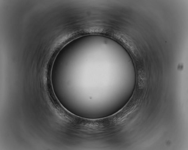 X0000098000631200804021032