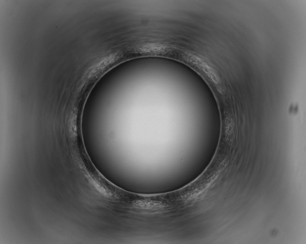 X0000098000633200804021032