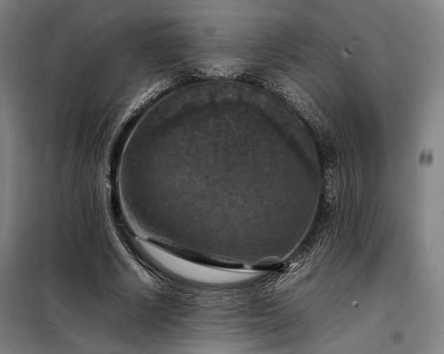 X0000098000634200804021032
