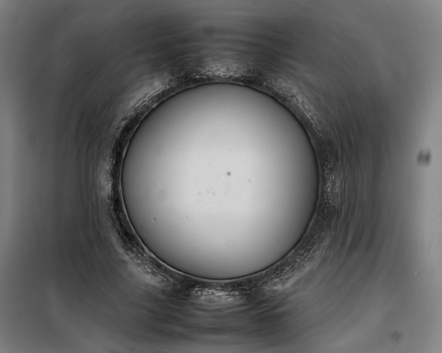 X0000098000635200804021032