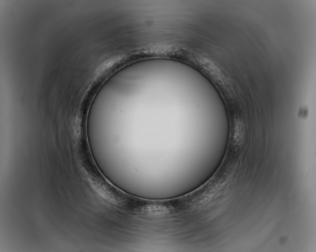 X0000098000636200804021032