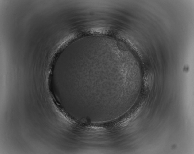 X0000098000637200804021032
