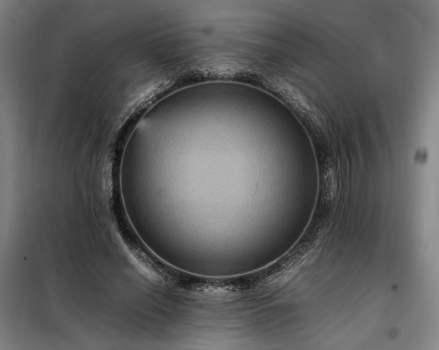 X0000098000638200804021032