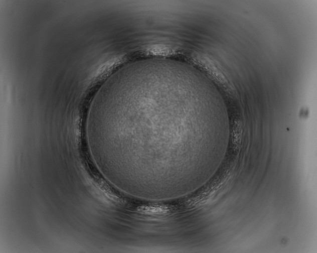 X0000098000639200804021032