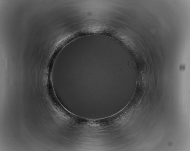 X0000098000640200804021032
