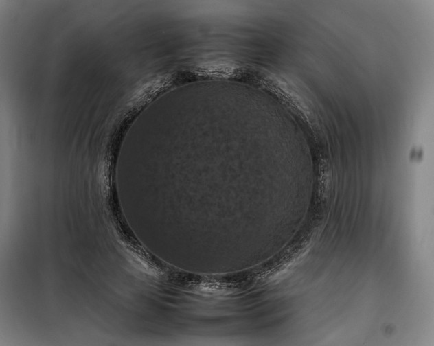 X0000098000641200804021032