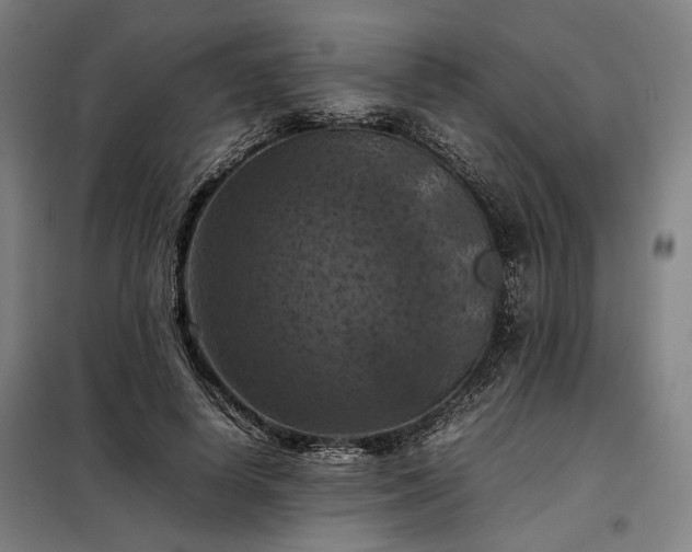 X0000098000642200804021032