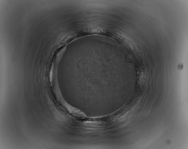 X0000098000643200804021032