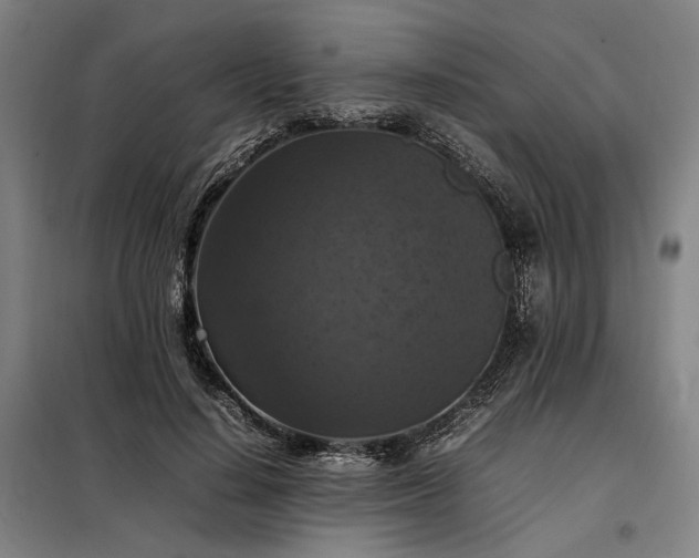 X0000098000644200804021032