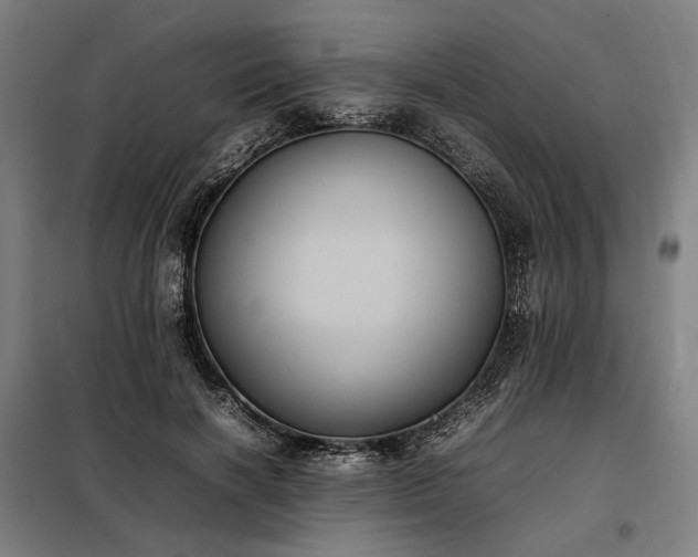 X0000098000646200804021032