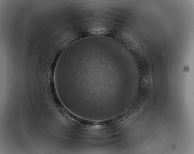 X0000098000647200804021032